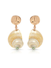 Sunken Treasure Shell Earrings