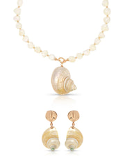 Sunken Treasure Shell Set